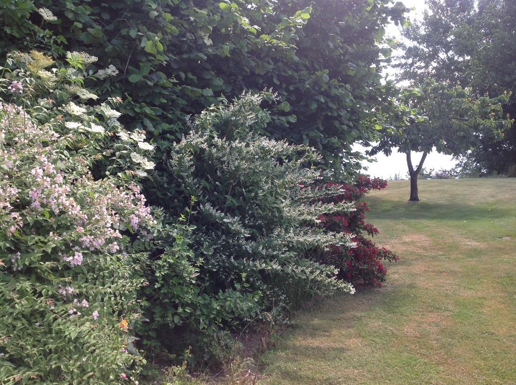Bogebjerggard Bed & Breakfast Sønderborg Exterior foto